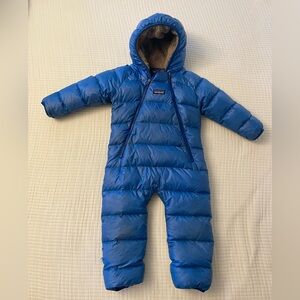Patagonia Blue Puffer Bunting
